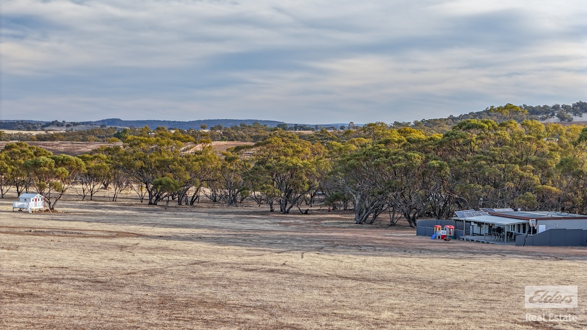 Toodyay, WA, 6566 - Image 25