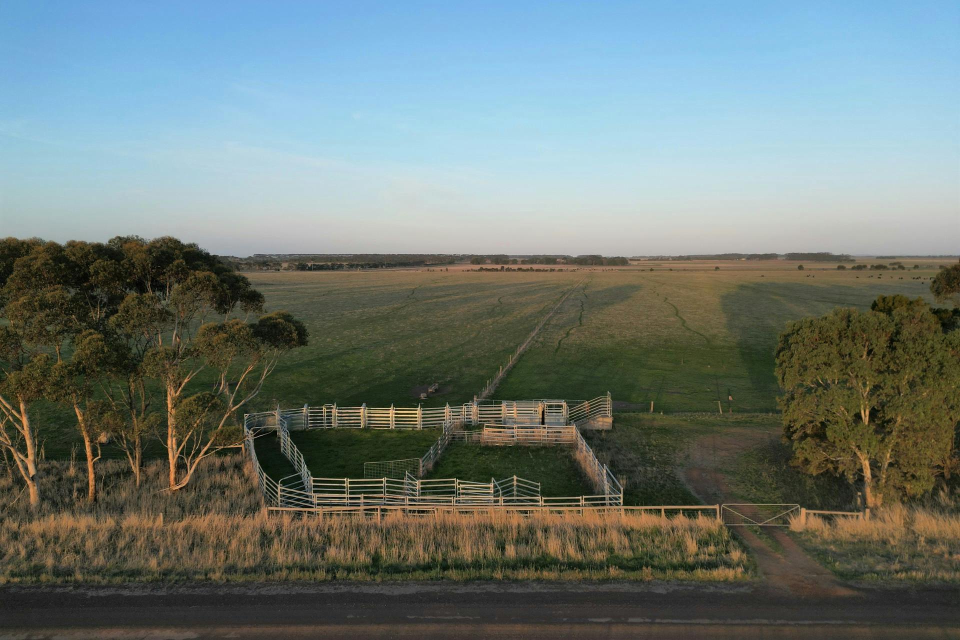 Castle Carey Road, Mortlake, VIC, 3272 For Sale Elders Real Estate