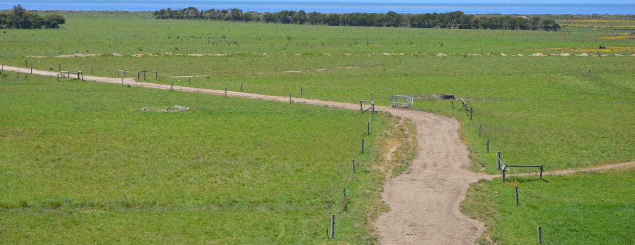 10 OLD HAT Road, Foster, VIC, 3960 - Image 4