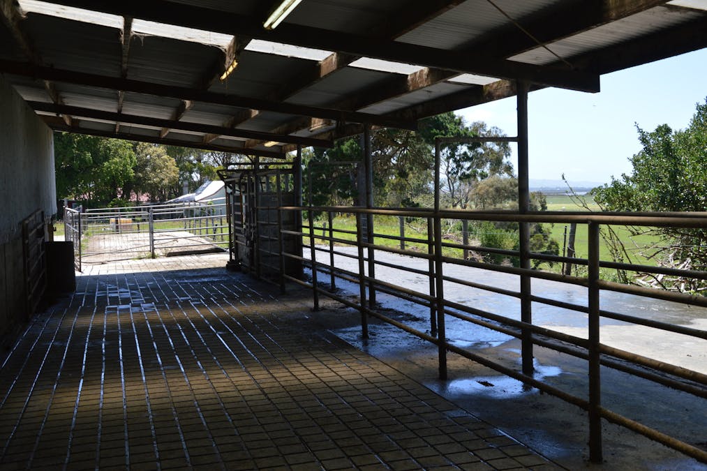 10 OLD HAT Road, Foster, VIC, 3960 - Image 8