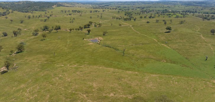 737 Bukkulla Road, Ashford, NSW, 2361 - Image 1