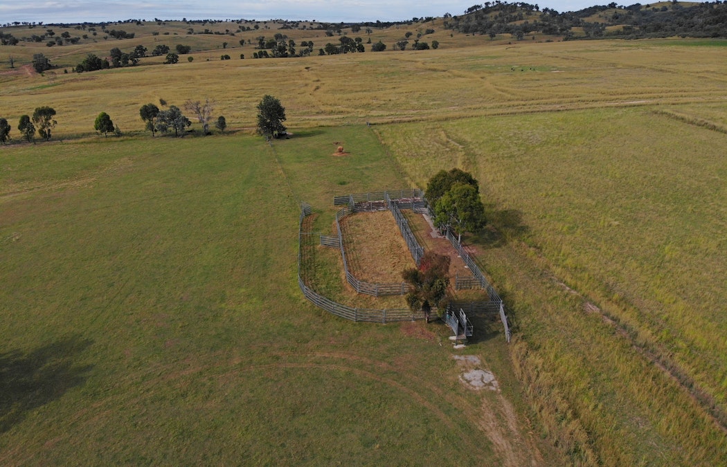 737 Bukkulla Road, Ashford, NSW, 2361 - Image 14