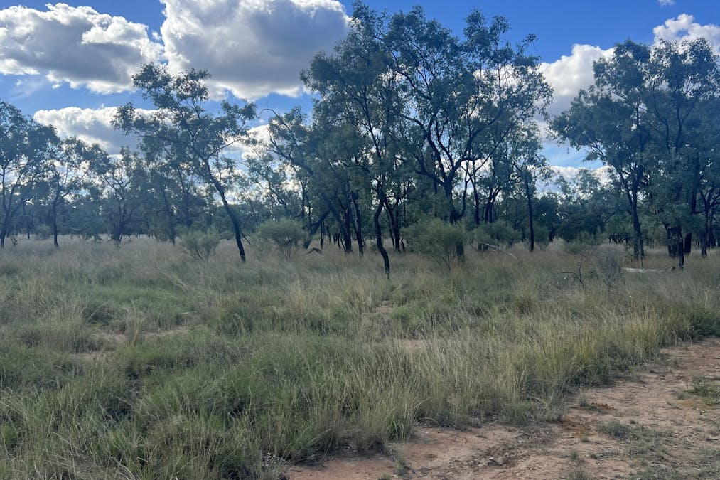 Flinders Highway, Torrens Creek, QLD, 4816 - Image 3