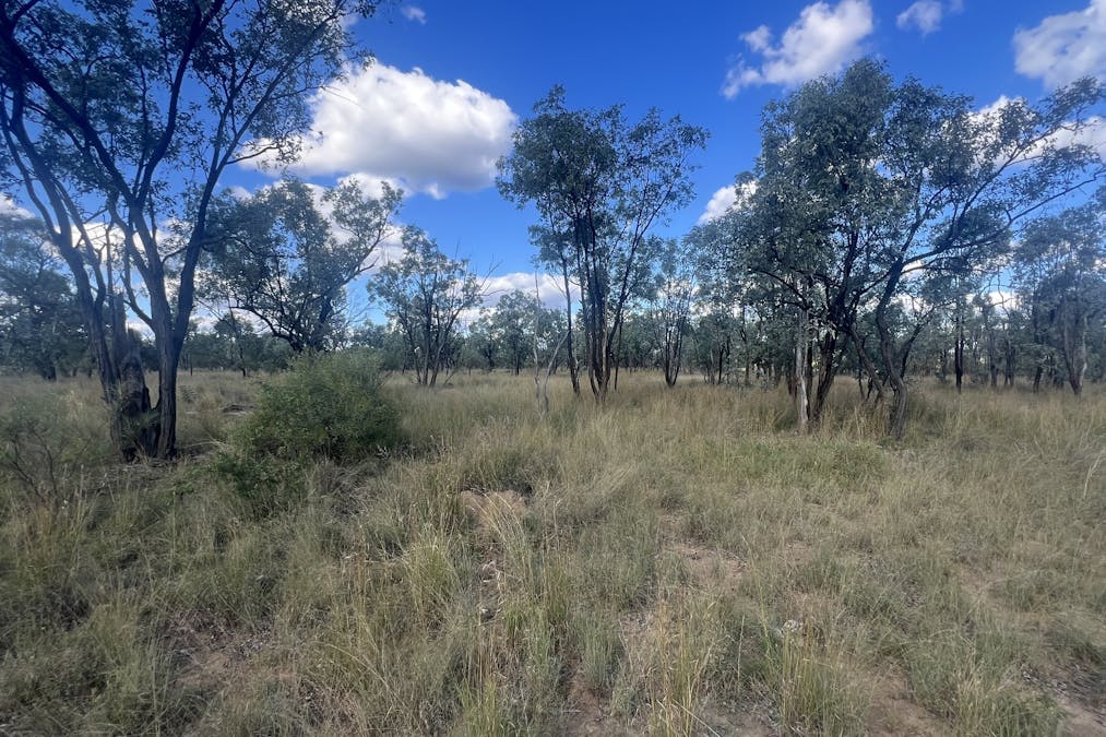 Flinders Highway, Torrens Creek, QLD, 4816 - Image 6
