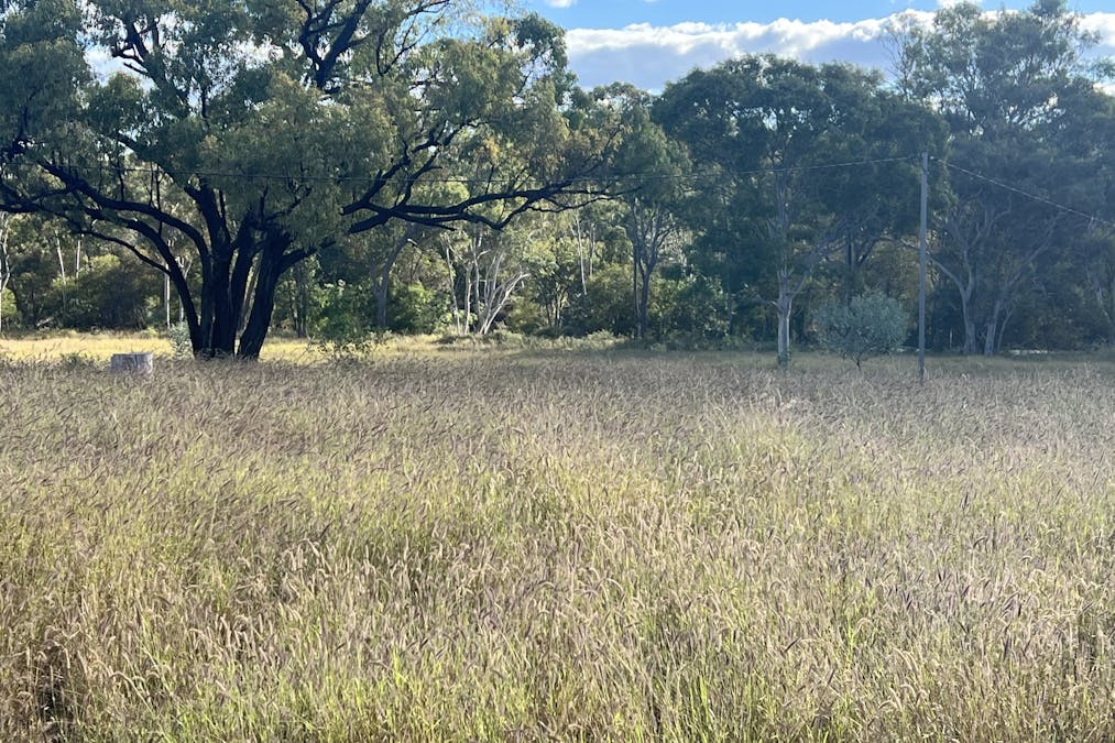 Flinders Highway, Torrens Creek, QLD, 4816 - Image 14