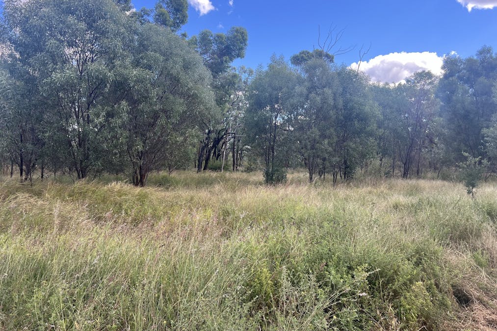 Flinders Highway, Torrens Creek, QLD, 4816 - Image 5
