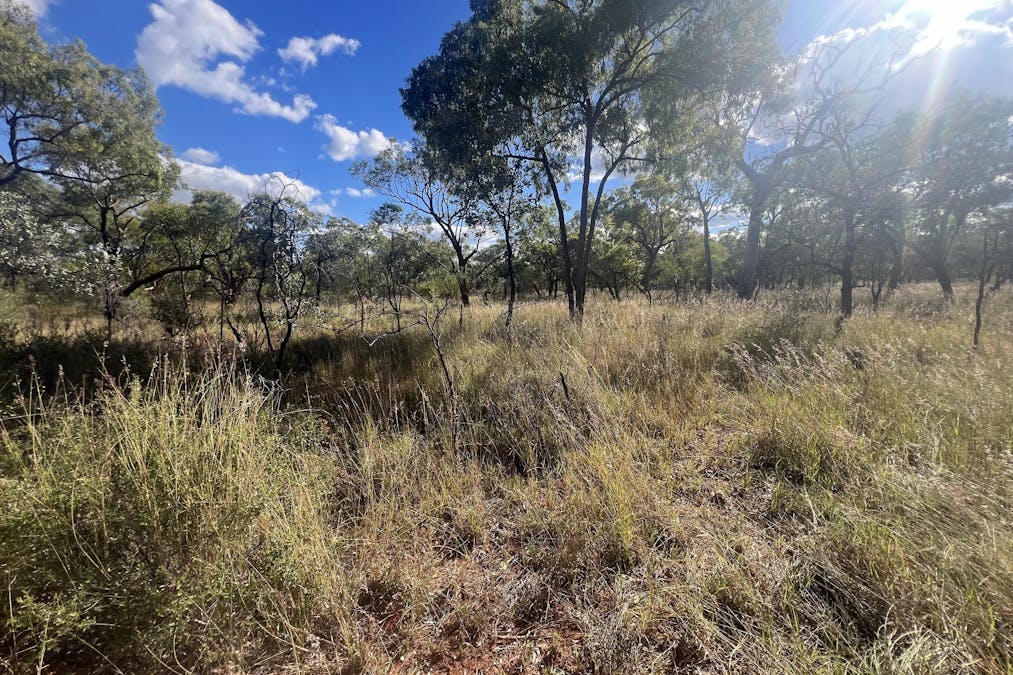 Flinders Highway, Torrens Creek, QLD, 4816 - Image 16