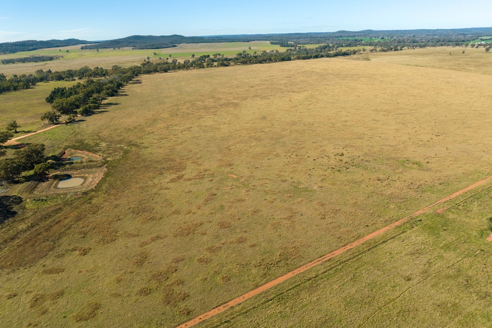 Glengarry 2696 Mitchell Highway, Narromine, NSW, 2821 - Image 8