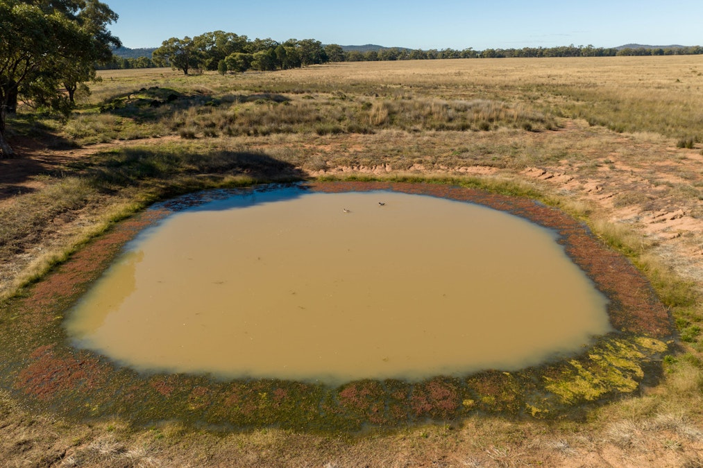 Glengarry 2696 Mitchell Highway, Narromine, NSW, 2821 - Image 9