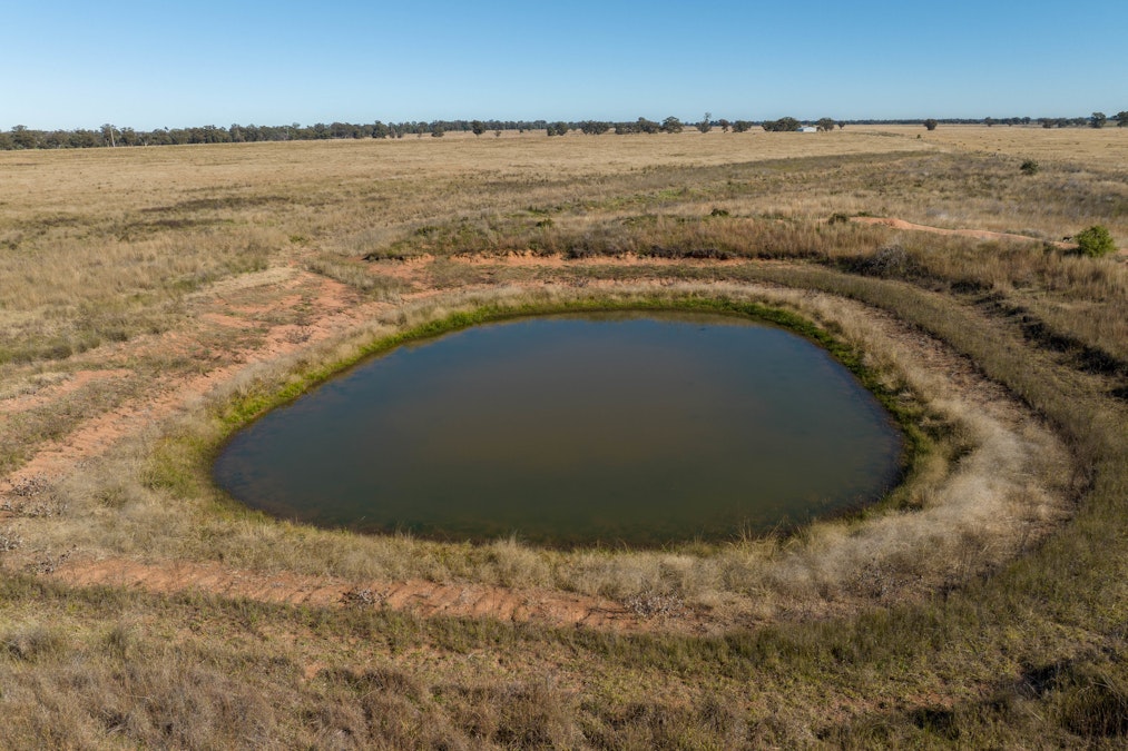 Glengarry 2696 Mitchell Highway, Narromine, NSW, 2821 - Image 12