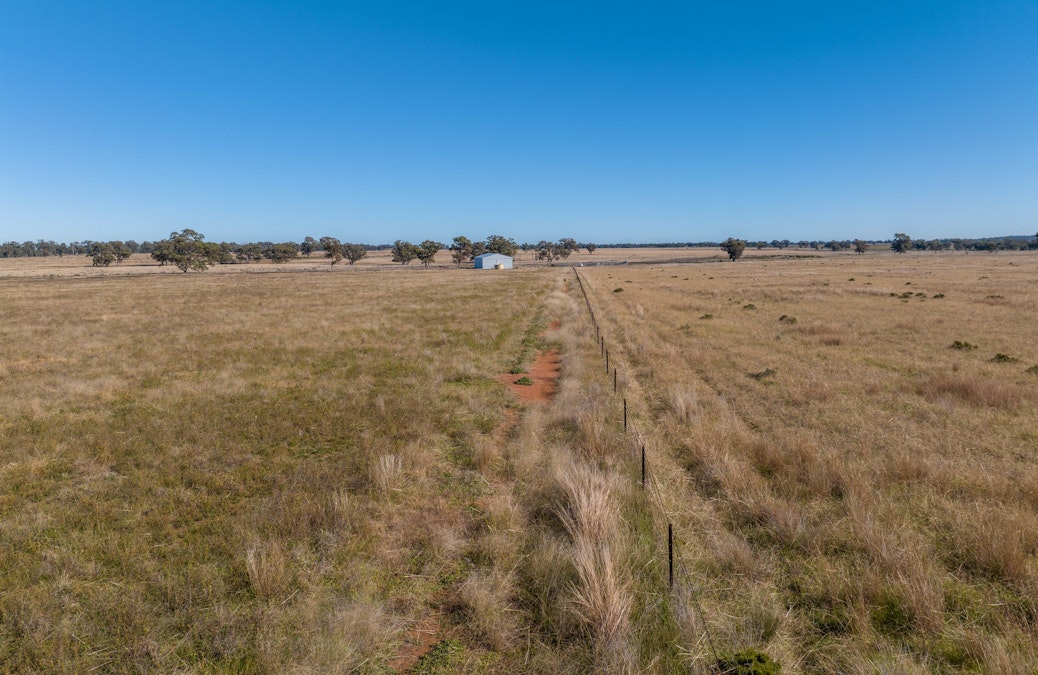 Glengarry 2696 Mitchell Highway, Narromine, NSW, 2821 - Image 20