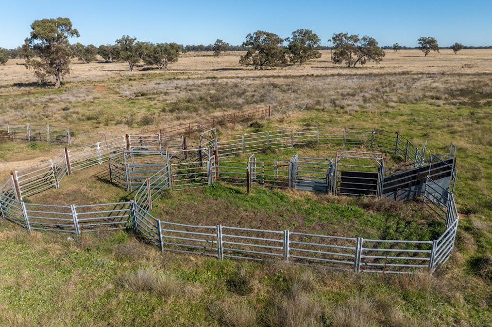 Glengarry 2696 Mitchell Highway, Narromine, NSW, 2821 - Image 5