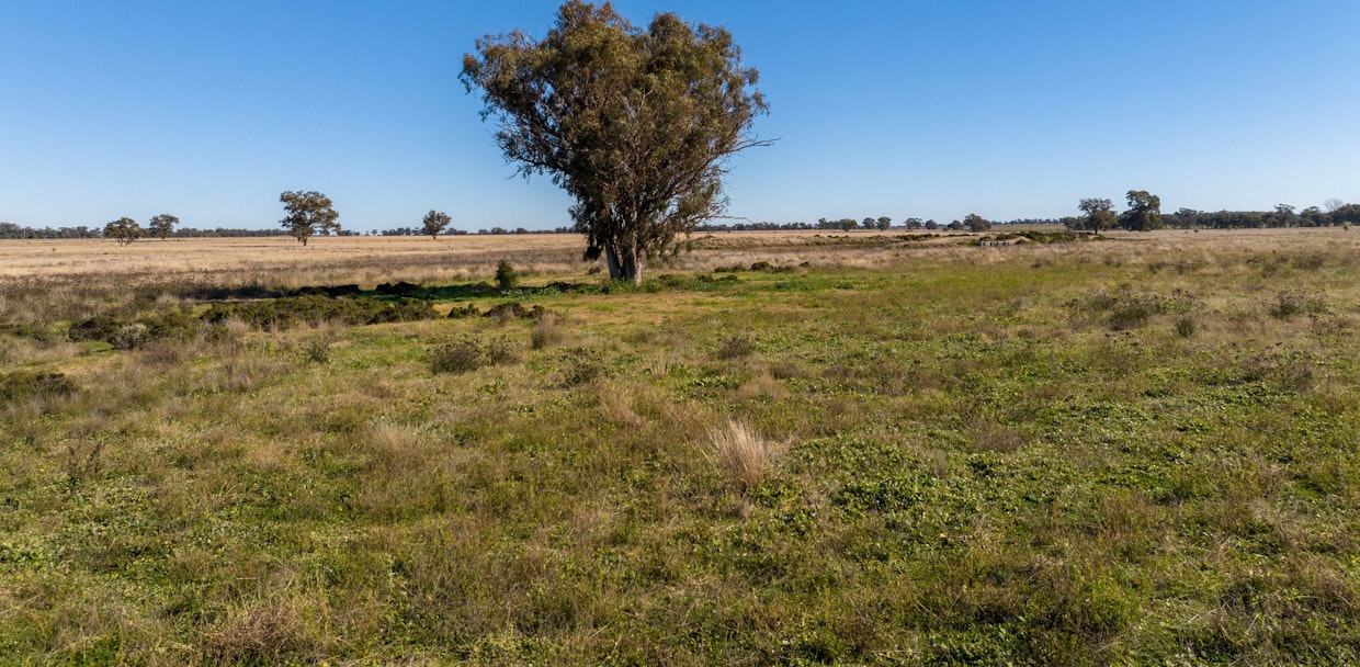 Glengarry 2696 Mitchell Highway, Narromine, NSW, 2821 - Image 7