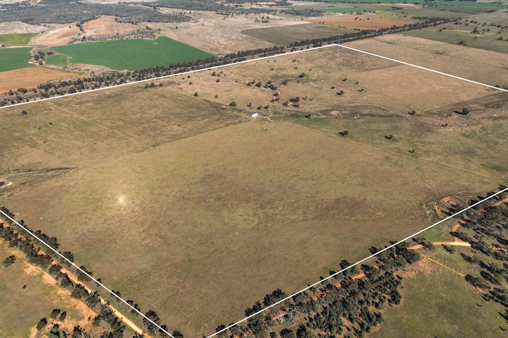 Glengarry 2696 Mitchell Highway, Narromine, NSW, 2821 - Image 21