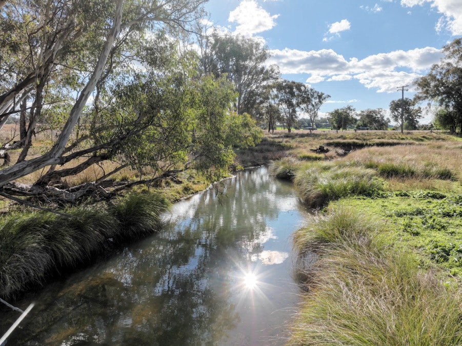 Melville 1197 Curra Creek Road, Curra Creek, NSW, 2820 - Image 30