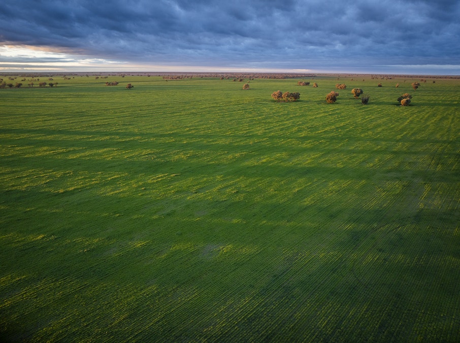 'Trewilga' , Coonamble, NSW, 2829 - Image 4