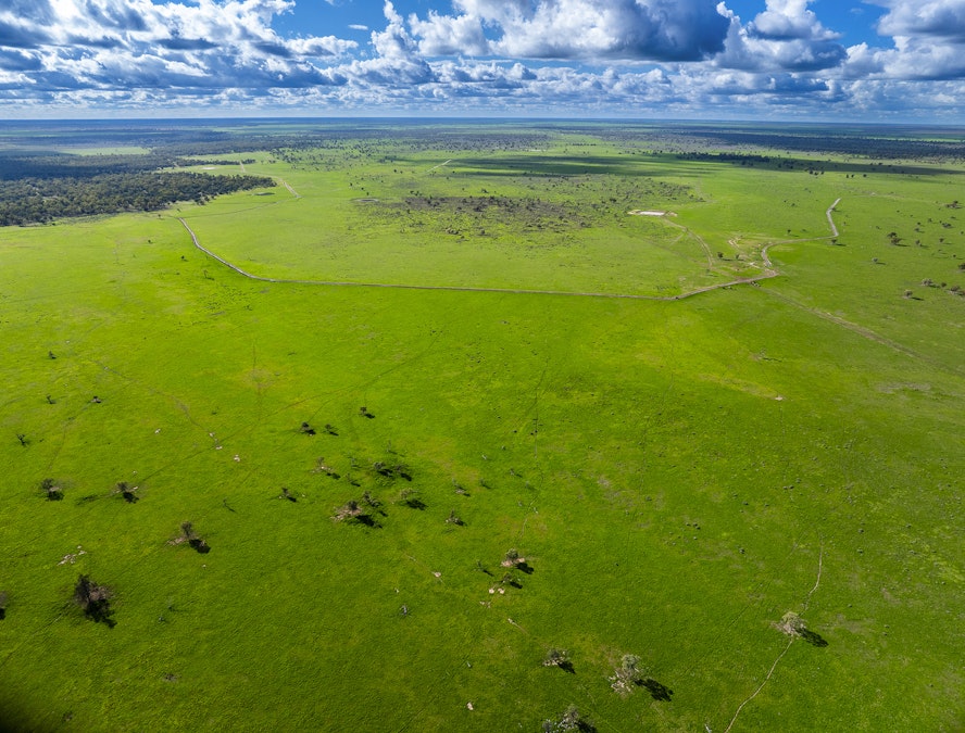 'Trewilga' , Coonamble, NSW, 2829 - Image 24