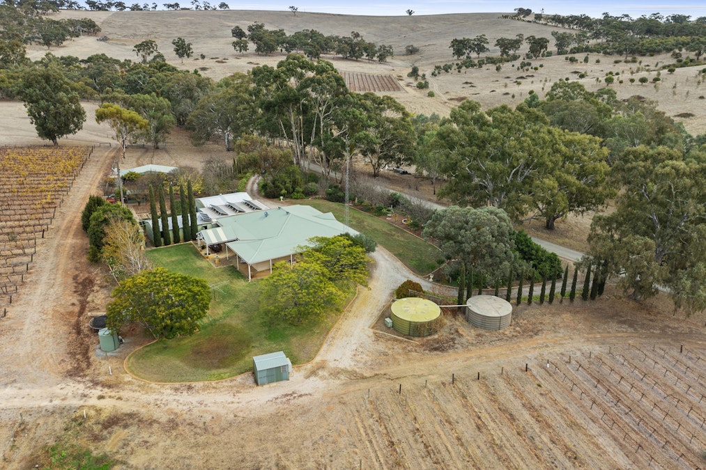 116 Polish Hill River Road, Clare, SA, 5453 - Image 3