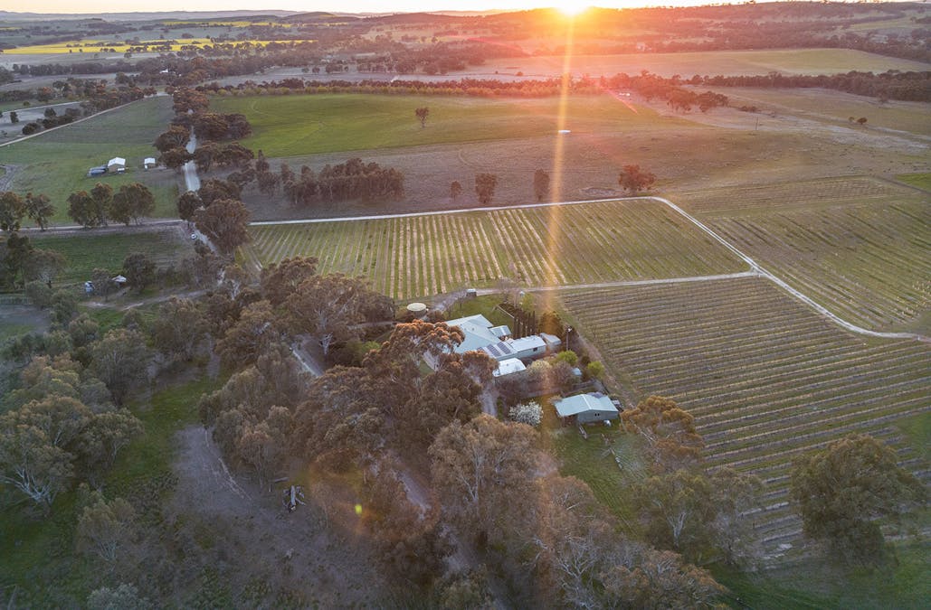 116 Polish Hill River Road, Clare, SA, 5453 - Image 3