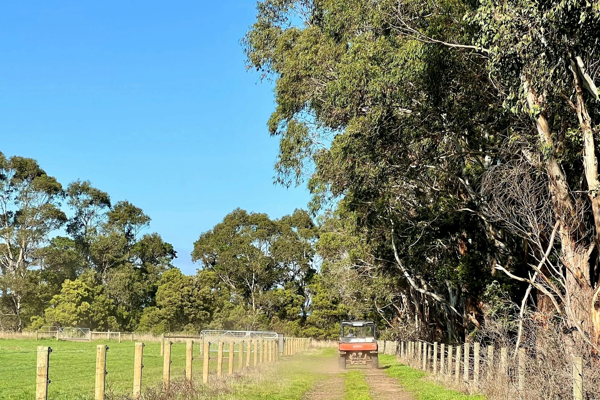 CobdenSouth Ecklin Road, Cobden, VIC, 3266 Sold Elders Real Estate