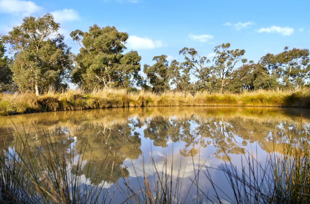 24  South Street, Murrumbateman, NSW, 2582 - Image 27