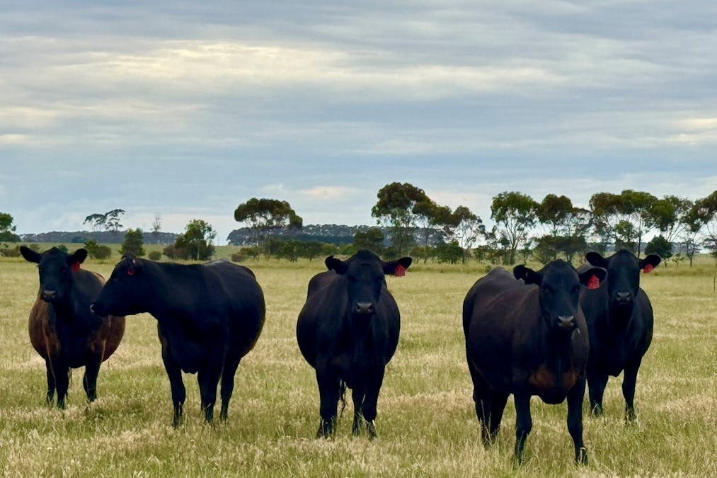 Kolora Lane, Kolora, VIC, 3265 - Image 19