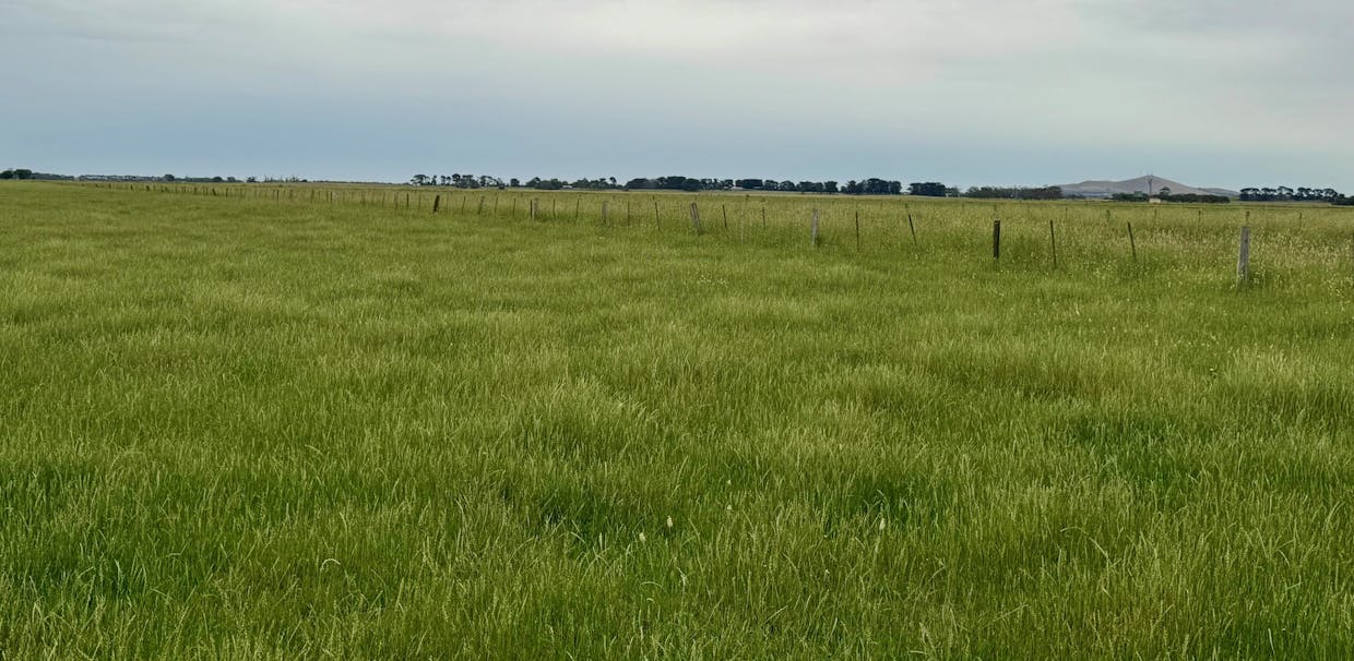 Kolora Lane, Kolora, VIC, 3265 - Image 20