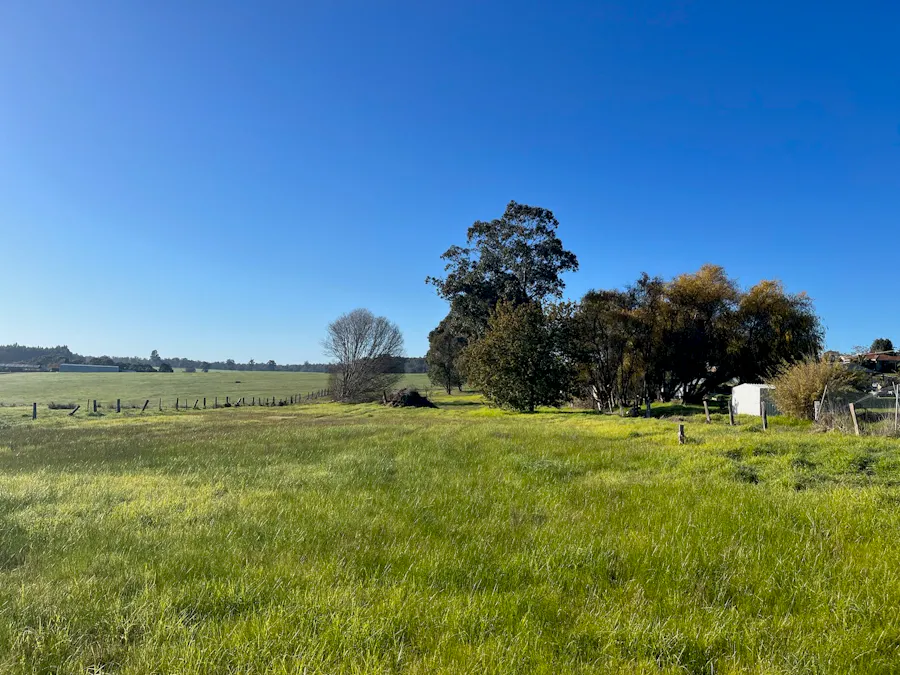 28 O'Connor Street, Manjimup, WA, 6258 - Image 13