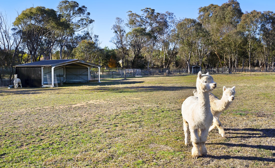 14 Stock Close, Murrumbateman, NSW, 2582 - Image 32