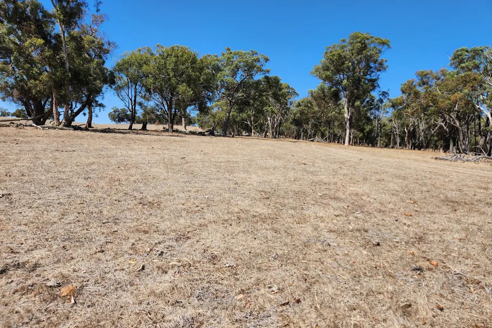 Mobrup Road, Mobrup, WA, 6395 - Image 5