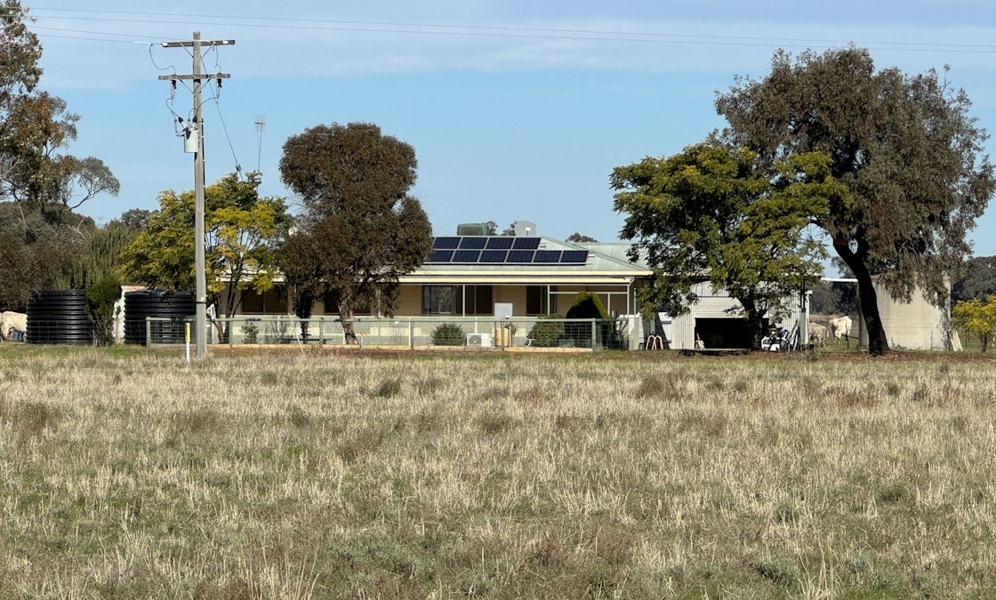 701 Pretty Pine Road, Deniliquin, NSW, 2710 - Image 24