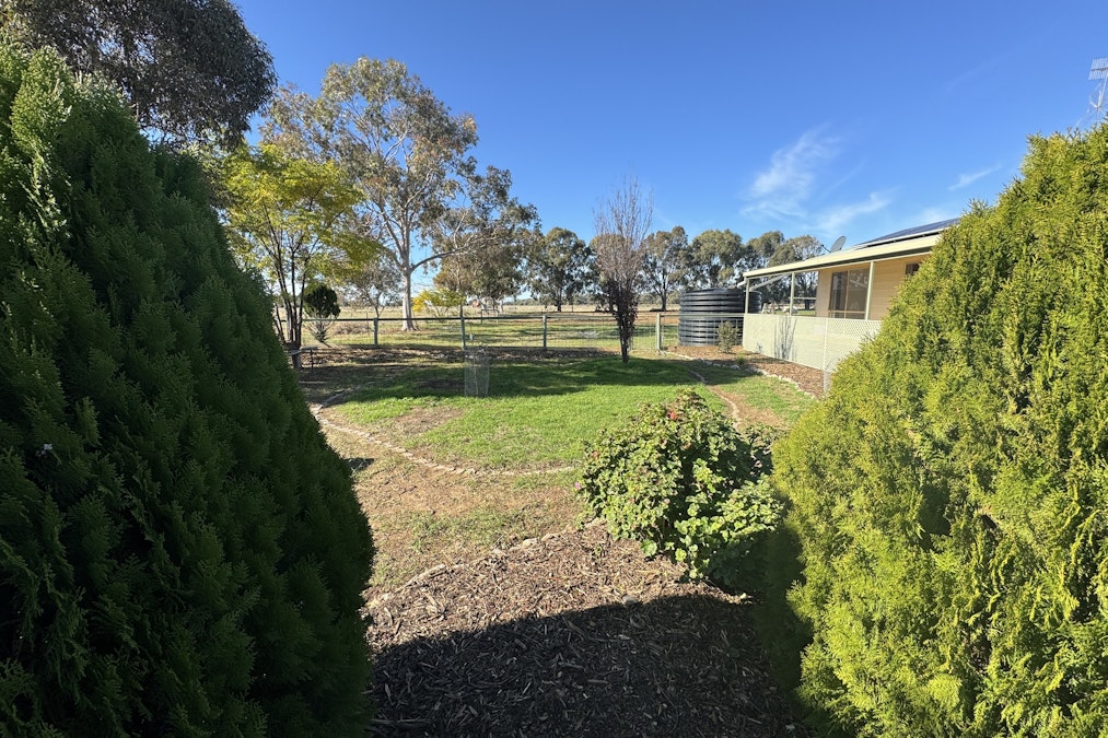 701 Pretty Pine Road, Deniliquin, NSW, 2710 - Image 27