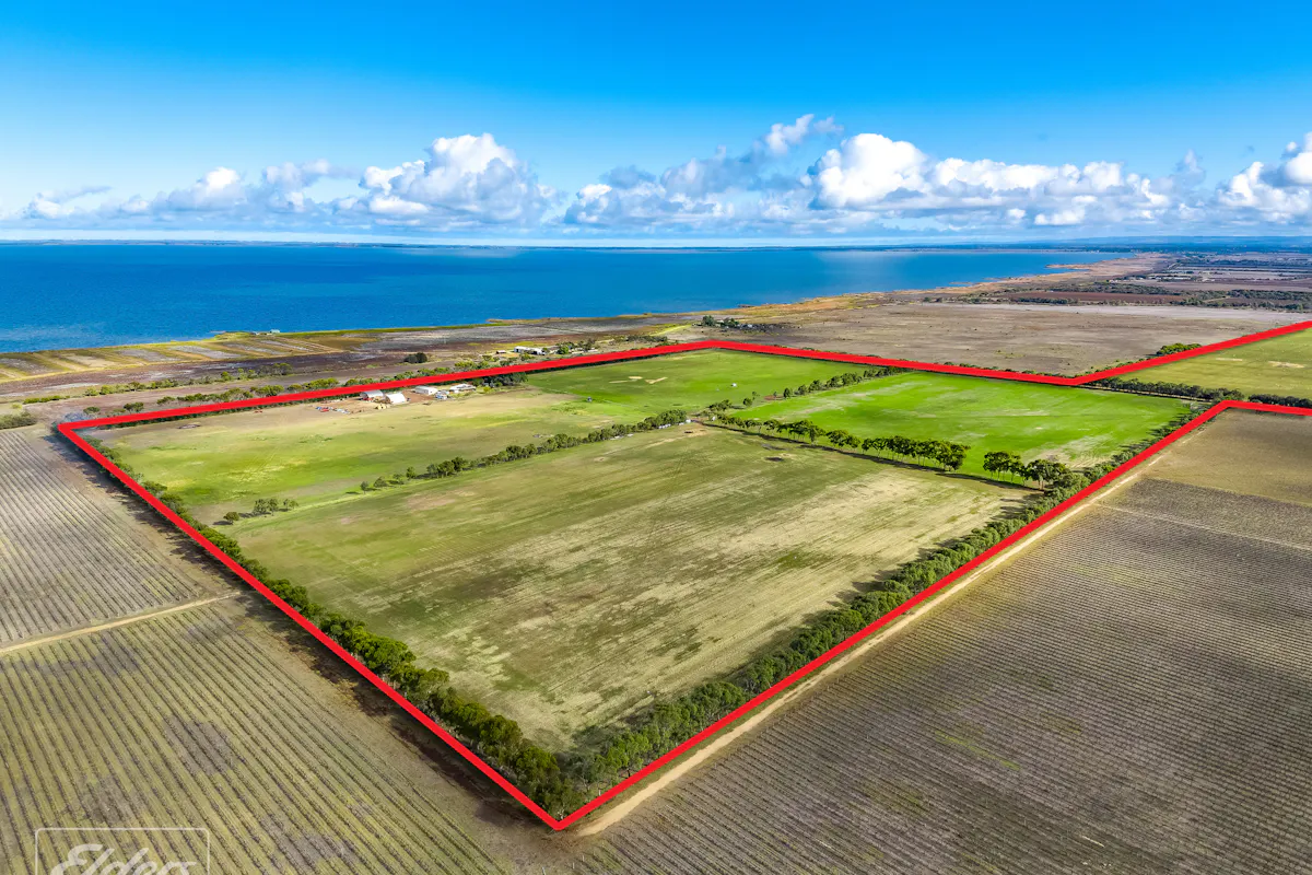 793 Lake Road, Langhorne Creek, SA, 5255 For Sale Elders Real Estate