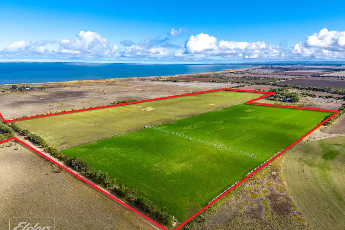 793 Lake Road, Langhorne Creek, SA, 5255 For Sale Elders Real Estate