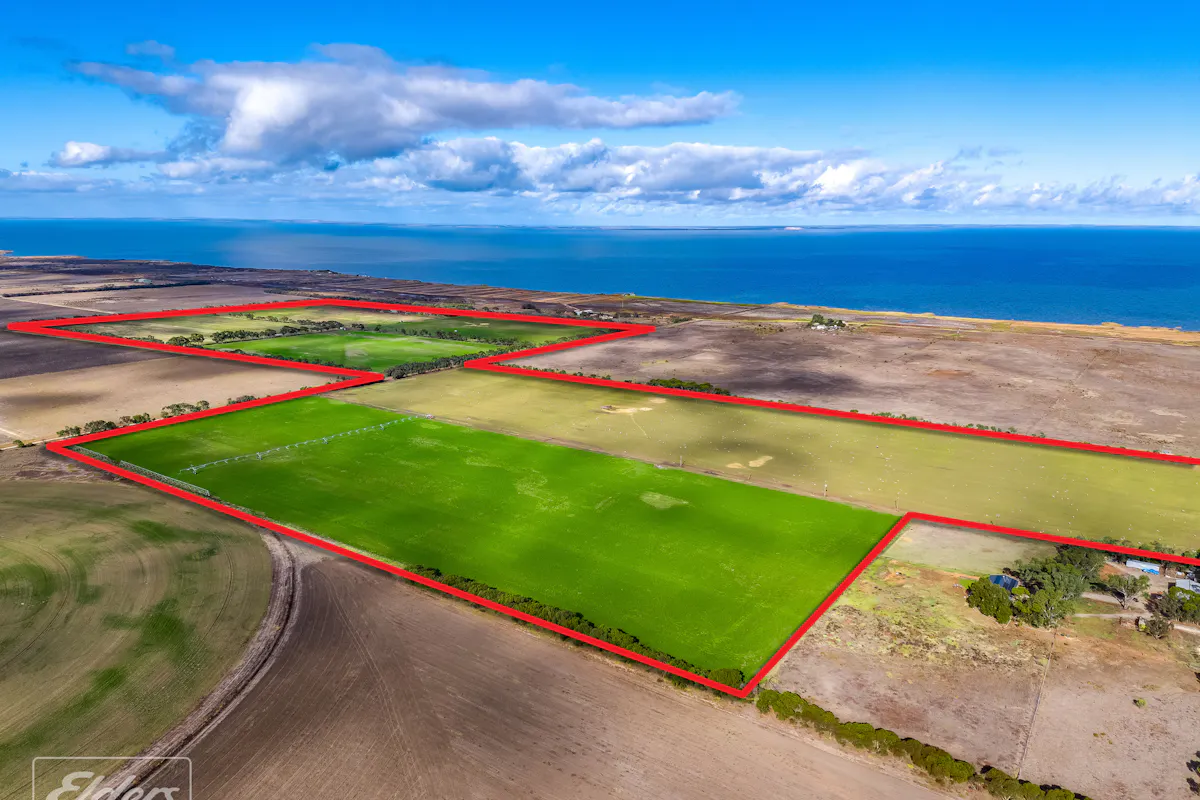 793 Lake Road, Langhorne Creek, SA, 5255 For Sale Elders Real Estate