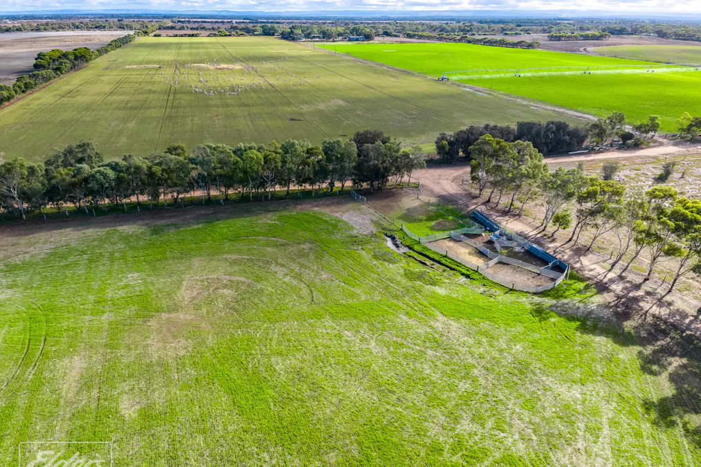 793 Lake Road, Langhorne Creek, SA, 5255 For Sale Elders Real Estate