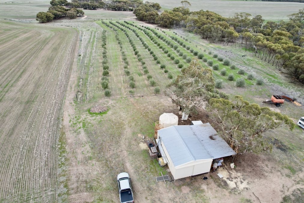 1581 Quellington Road, Caljie, WA, 6302 - Image 4