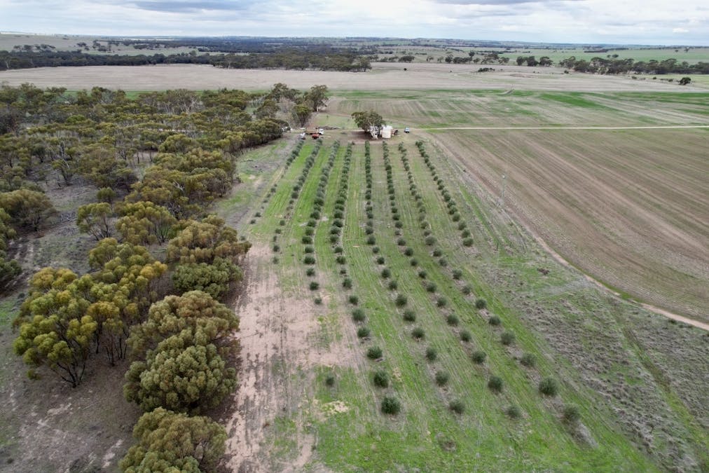 1581 Quellington Road, Caljie, WA, 6302 - Image 21