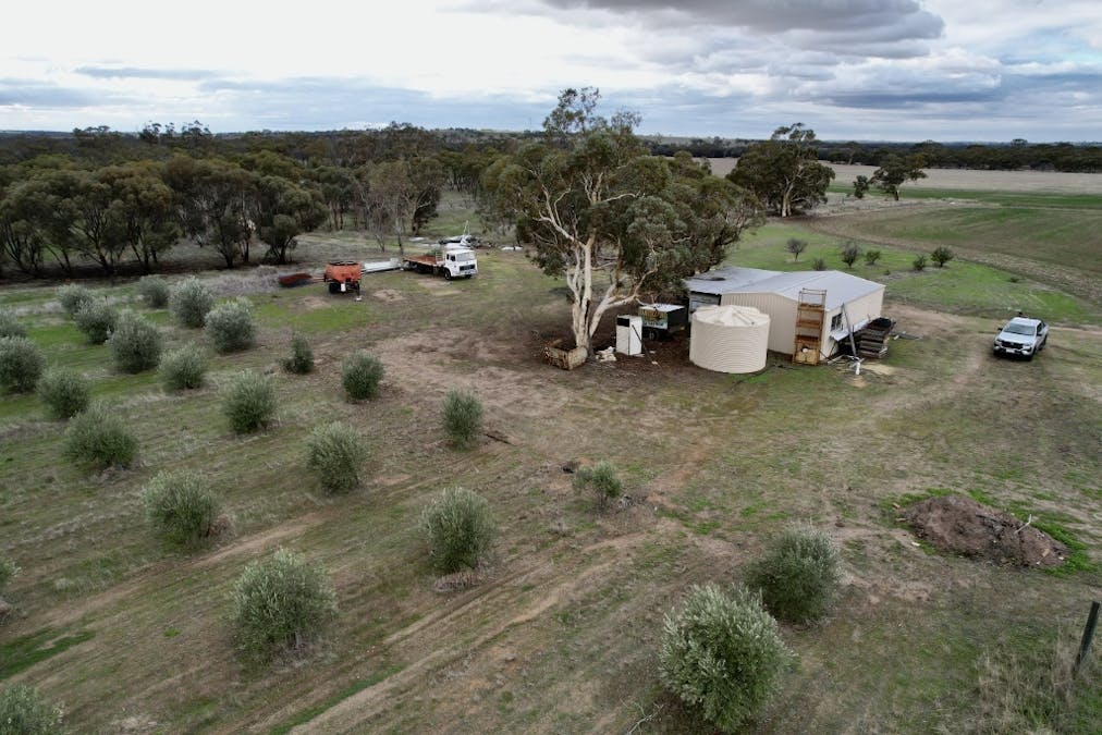 1581 Quellington Road, Caljie, WA, 6302 - Image 5