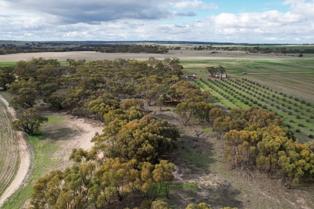 1581 Quellington Road, Caljie, WA, 6302 - Image 18