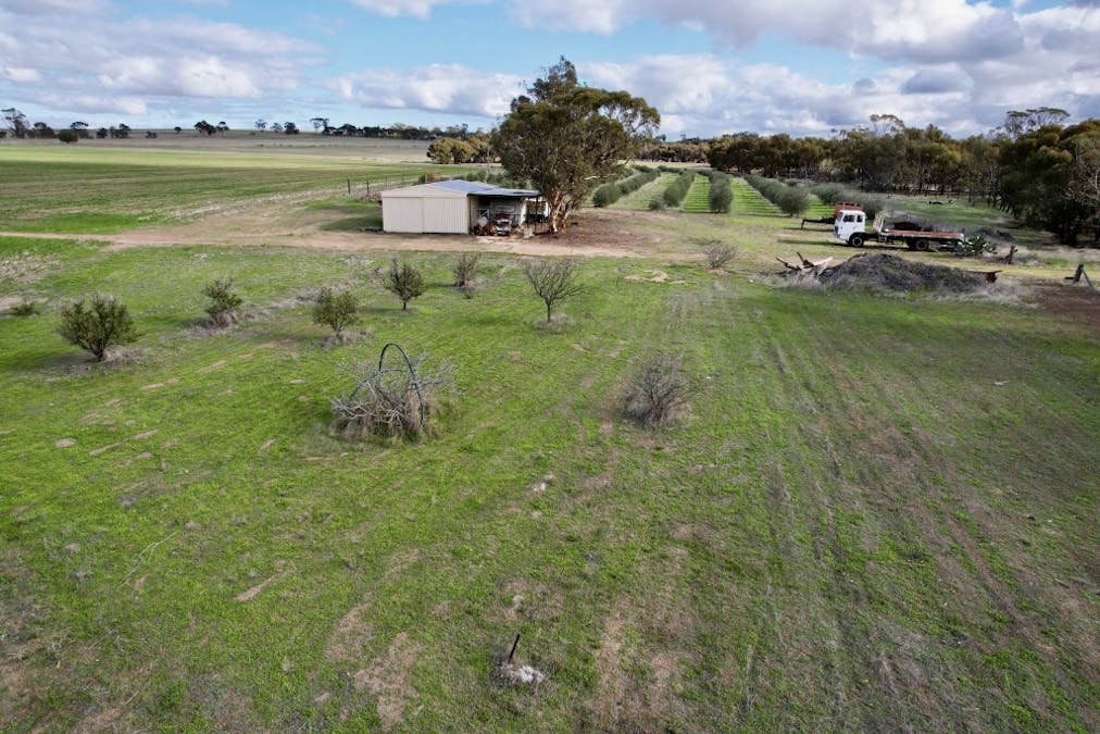 1581 Quellington Road, Caljie, WA, 6302 - Image 11
