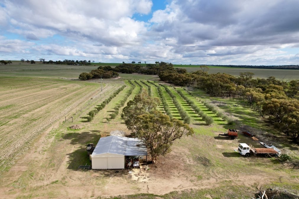 1581 Quellington Road, Caljie, WA, 6302 - Image 16