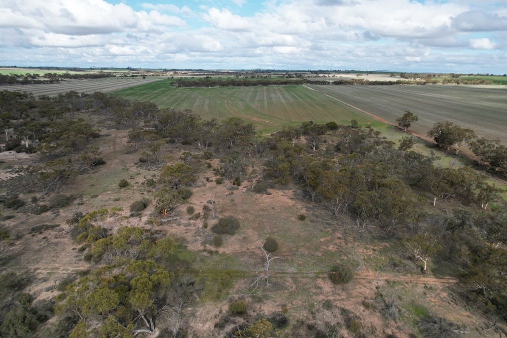 1581 Quellington Road, Caljie, WA, 6302 - Image 17
