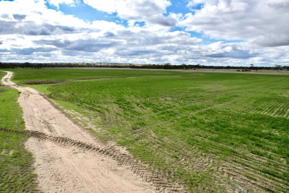 1581 Quellington Road, Caljie, WA, 6302 - Image 13