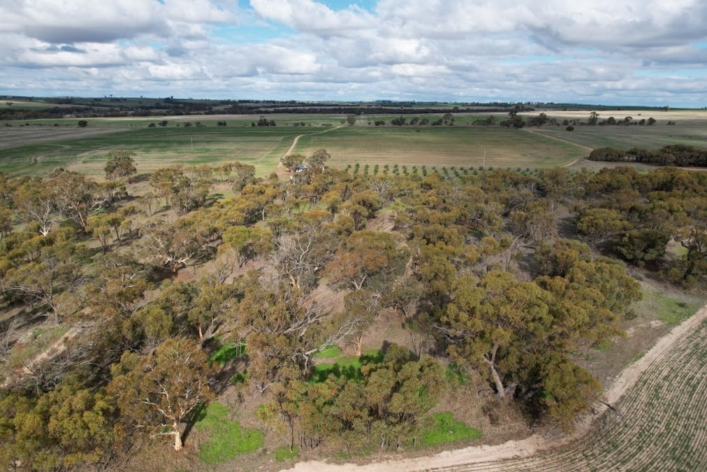 1581 Quellington Road, Caljie, WA, 6302 - Image 19