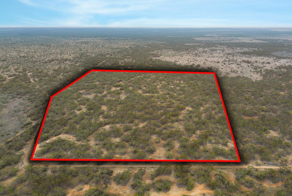 Lot 5 Lake Short Road, Sandleton, SA, 5356 - Image 2