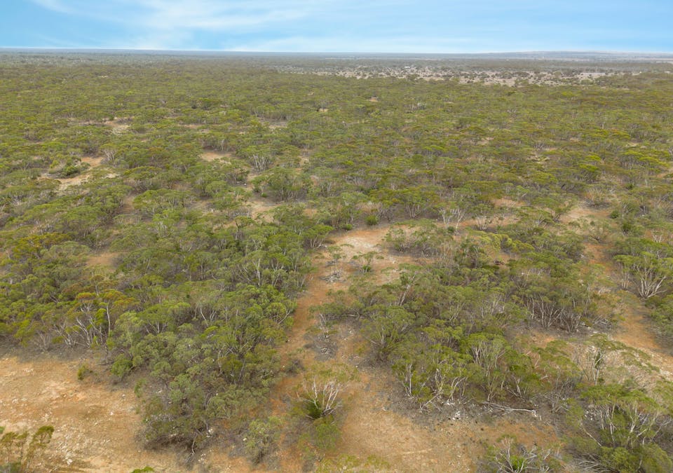 Lot 5 Lake Short Road, Sandleton, SA, 5356 - Image 11