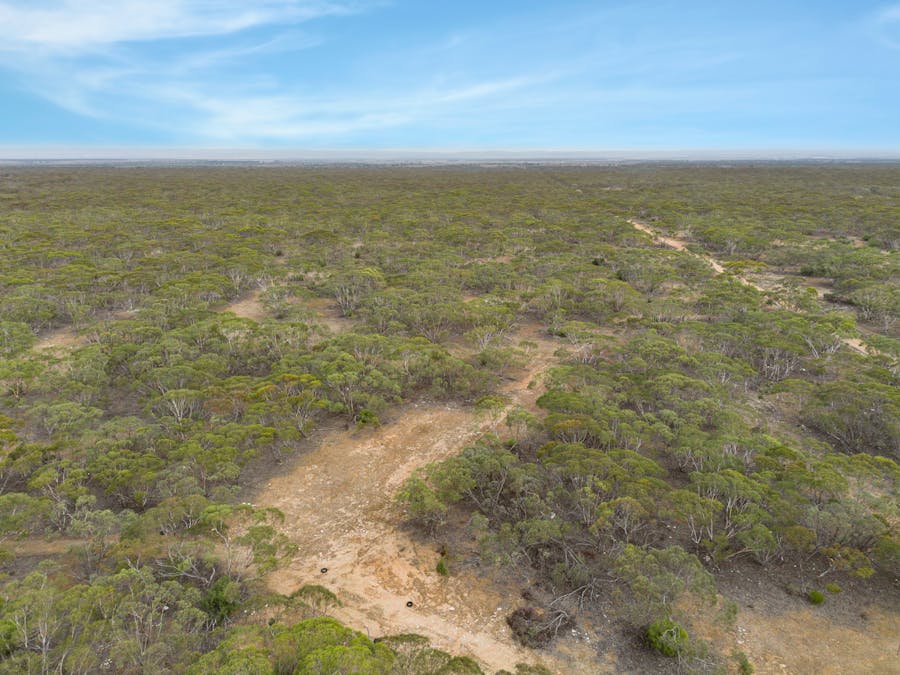 Lot 5 Lake Short Road, Sandleton, SA, 5356 - Image 14