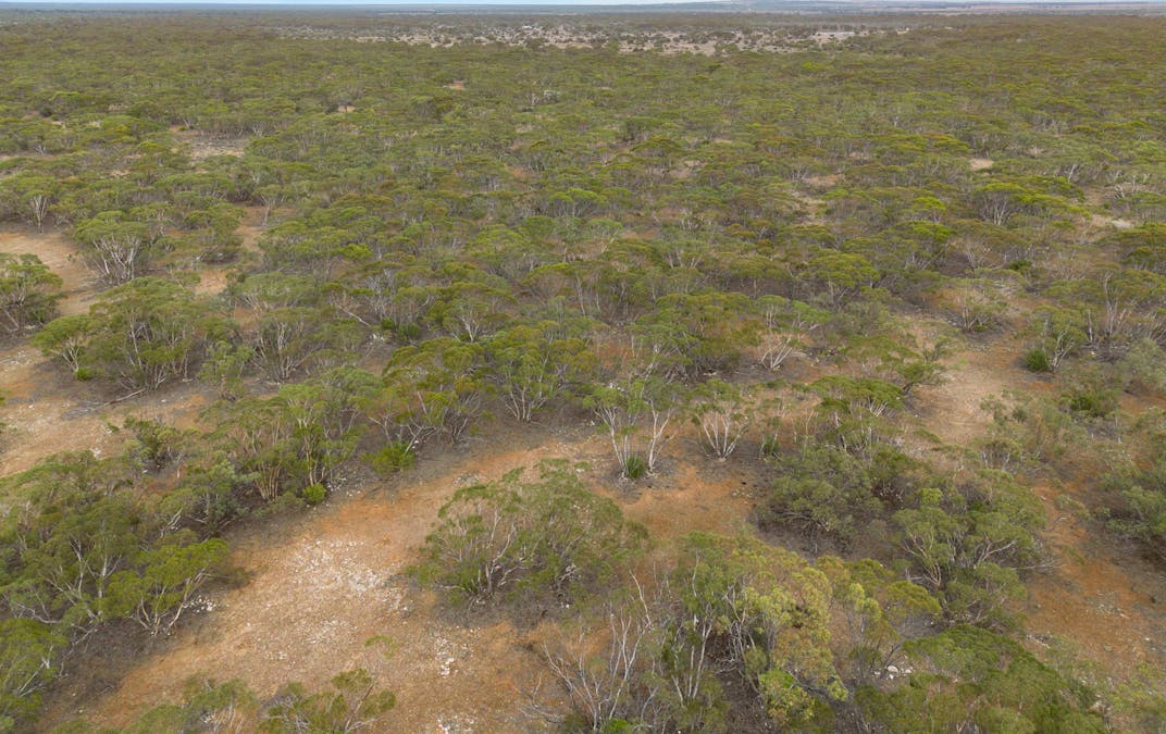 Lot 5 Lake Short Road, Sandleton, SA, 5356 - Image 15