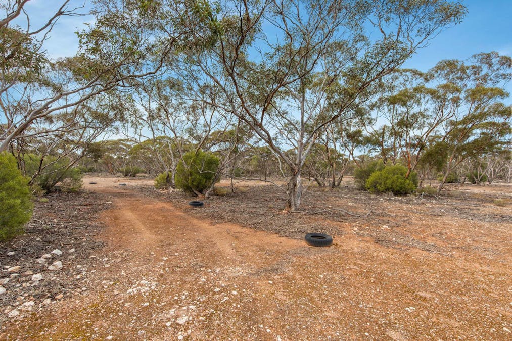 Lot 5 Lake Short Road, Sandleton, SA, 5356 - Image 8